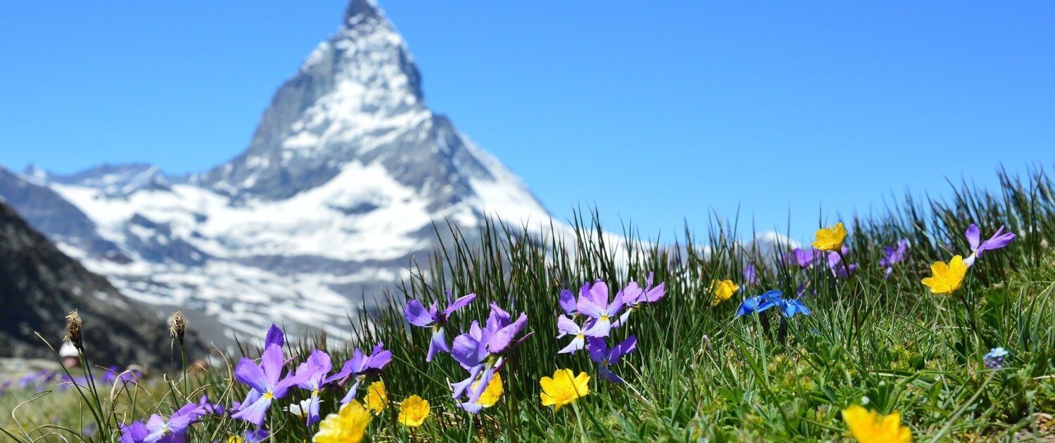 Zwitserland landschap uitzicht Matterhorn